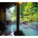 平湯温泉 2種の自家源泉と囲炉裏料理の宿 湯の平館