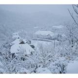 黒川温泉 山の宿 新明館