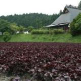 大原温泉 湯元のお宿 民宿 大原山荘
