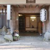 観光旅館やまと