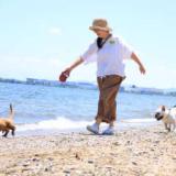 宿屋 きよみ荘～人もペットも笑顔になれる宿～