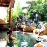北郷温泉 べっぴんの湯の宿 丸新荘