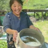 農家民泊あんちゃん家
