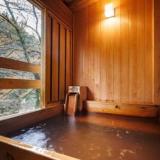 湯屋温泉 炭酸泉の宿 泉岳舘