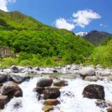 山野草の宿 二人静