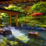 山野草の宿 二人静