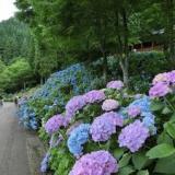 神明温泉湯元すぎ嶋