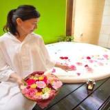 Hotel Allamanda