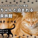 福狸亭 小川家