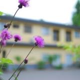 奥州平泉温泉 そば庵 しづか亭
