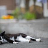 豊礼の宿