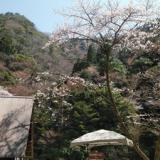 奥・小又川バンガロー