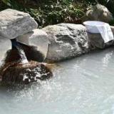 越生温泉 美白の湯 温泉宿 ニューサンピア埼玉おごせ