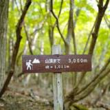 由布院 山ぼうし