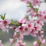 小さなホテル 風小僧