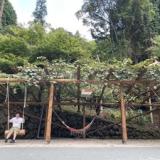 ウッドデザインパーク福岡宮若店