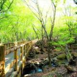 峰山高原ホテルリラクシア