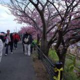 踊子の園