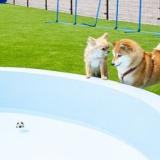 レクトーレ羽生TERRACE