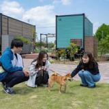 レクトーレ羽生TERRACE