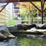 八ヶ岳温泉 樅の木荘