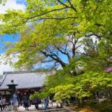 京都 嵐山温泉 花伝抄(共立リゾート)