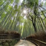 京都 嵐山温泉 花伝抄(共立リゾート)