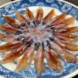 海べのおやど 丸文