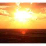 てしお温泉 夕映