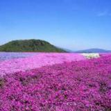 休暇村茶臼山高原
