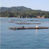 気仙沼大島 旅館 亀山荘