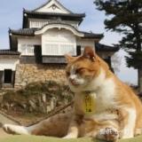 高梁ファイブシーズホテル