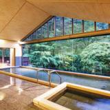 花巻温泉 佳松園 肌にしみこむ化粧水のような「とろとろの湯」