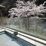 中川温泉 かくれ湯の里 信玄館
