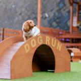 愛犬と泊まれる宿 道後温泉 別邸やすらぎ