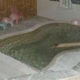 温泉 いわさき