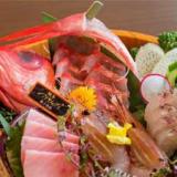 別邸 海と森