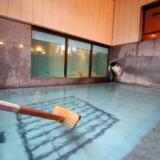 鯉が見られる天然温泉 ぬくもりの宿 ゑびすや旅館