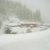 金山旅館