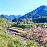 里山暮らしを遊ぶ宿 のこのこ