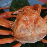 親不知観光ホテル
