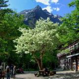 上高地 朝焼けの宿 明神館