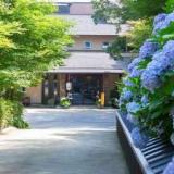六甲山 オーシャンテラスあじさい