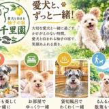 ゆのごう 柚子の宿 千里園