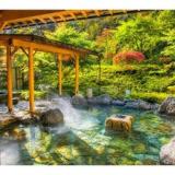 山野草の宿 二人静