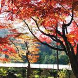 四季育む宿 然林房