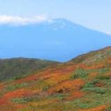 月山の宿 かしわや