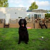 ENREI DOG VILLA ATTRAIT (アトレ)