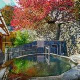 赤湯温泉 上杉の御湯 御殿守