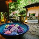 城崎温泉 木漏れ日の宿 夢こやど 天望苑